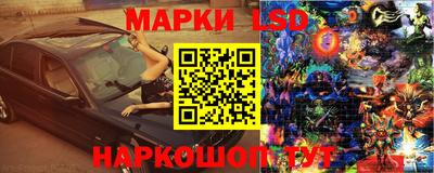 стаф Чебоксары