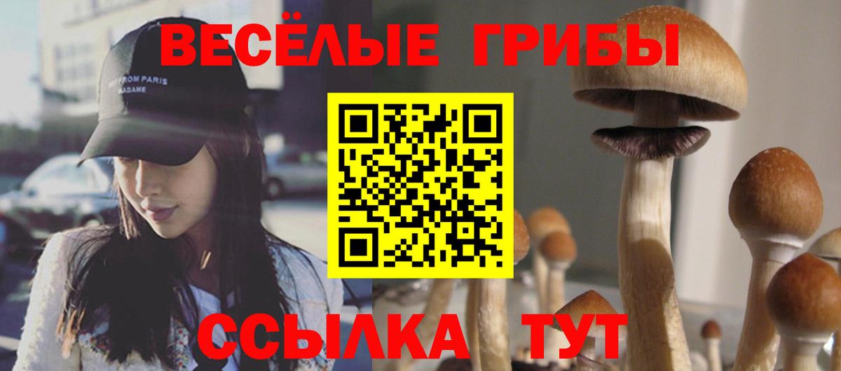 Галлюциногенные грибы Magic Shrooms  Вход с VPN  Галлюциногенные грибы мицелий  Аргун 