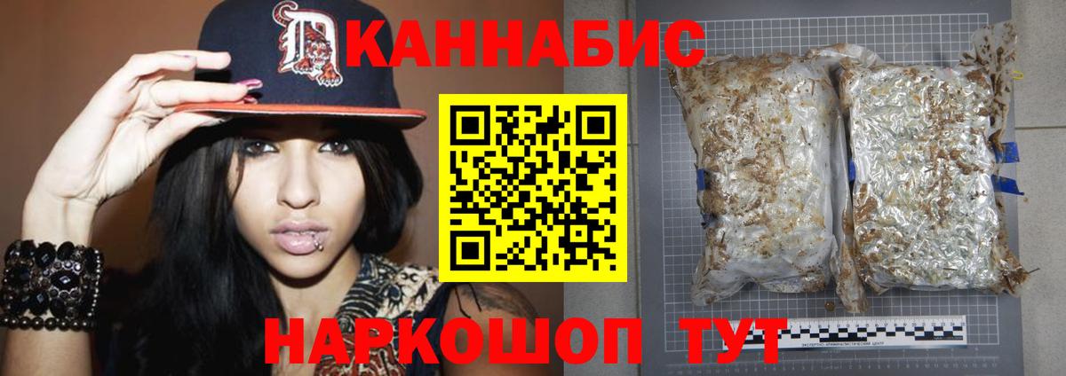 Каннабис сатива Аргун